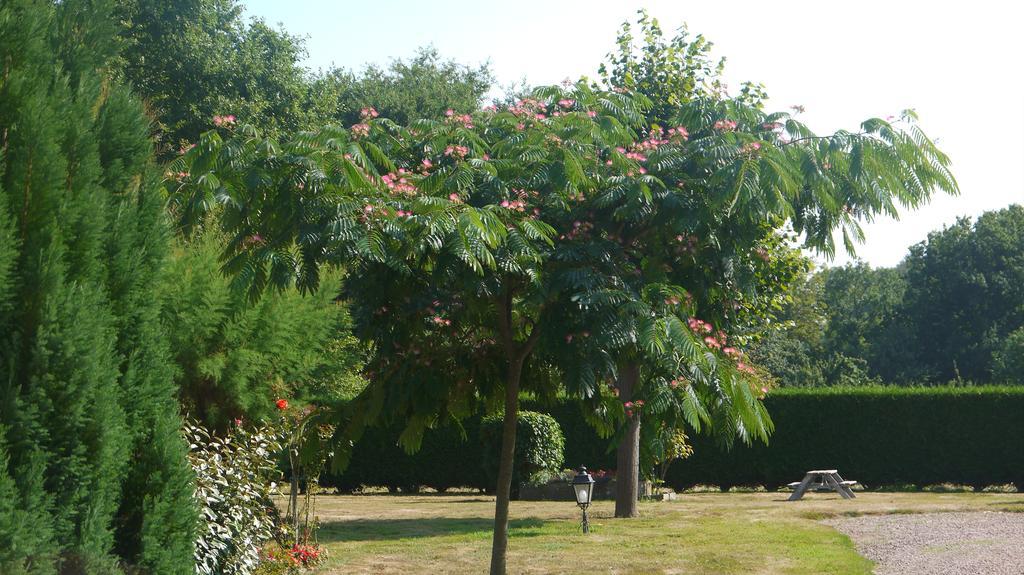 Hotel Gite Les Sageais Baguer-Morvan Exterior foto